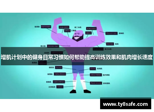 增肌计划中的健身日常习惯如何帮助提高训练效果和肌肉增长速度