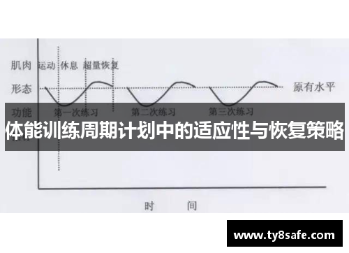 体能训练周期计划中的适应性与恢复策略